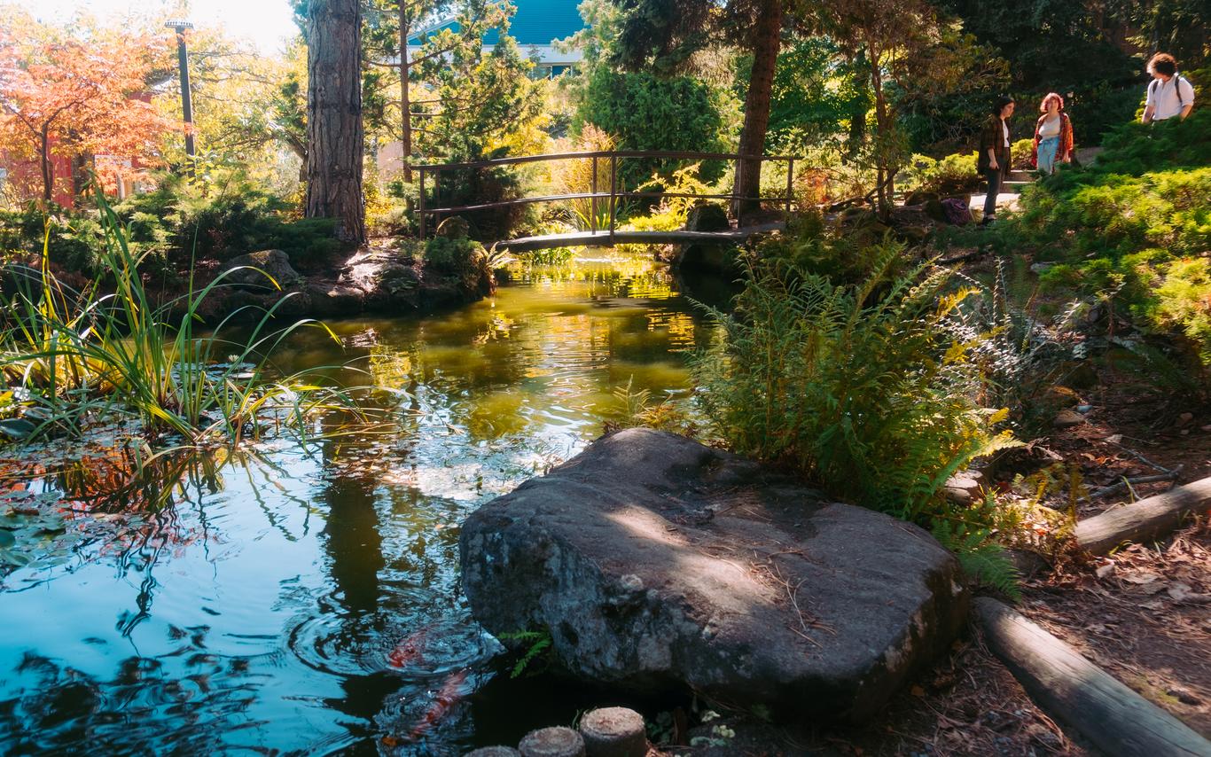 Tamagawa Garden